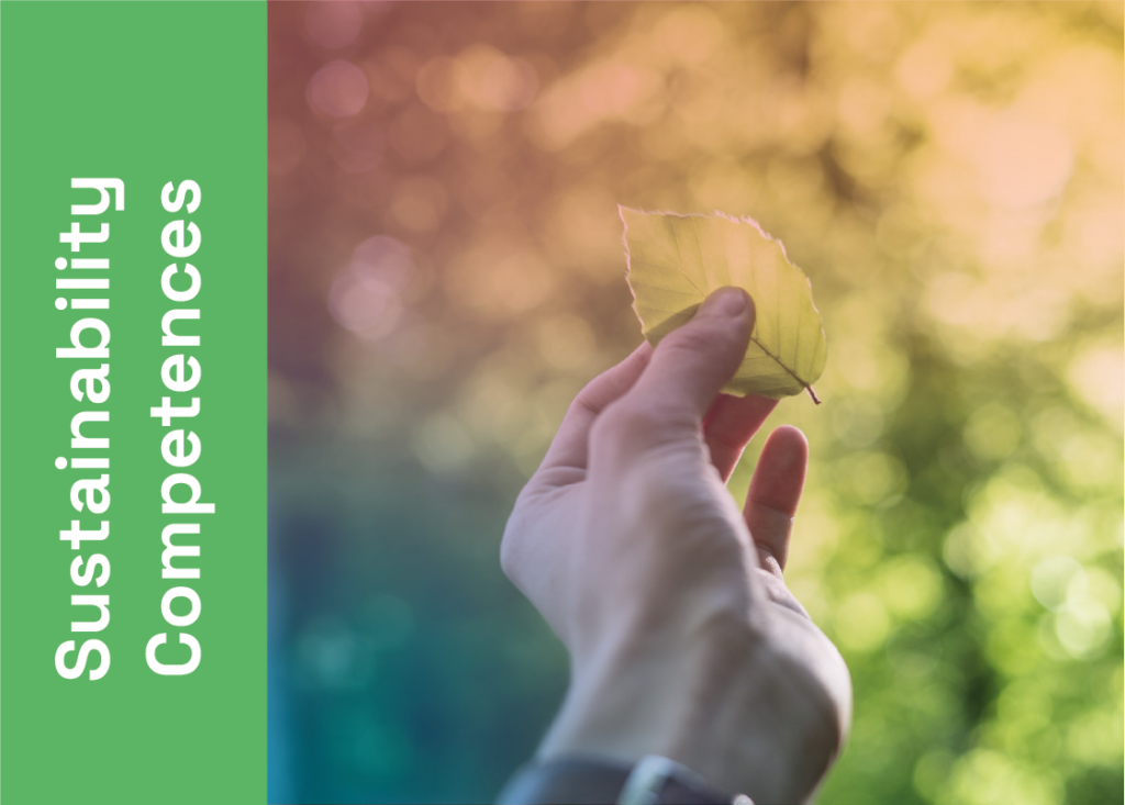 Sustainability Competences for Entrepreneurs